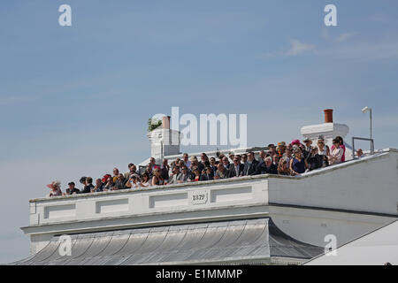 Epsom, UK. 6. Juni 2014. Epsom Massen und Tribüne während der Ladies Day von Epsom Derby Festival 2014. Bildnachweis: Aktion Plus Sport/Alamy Live-Nachrichten Stockfoto