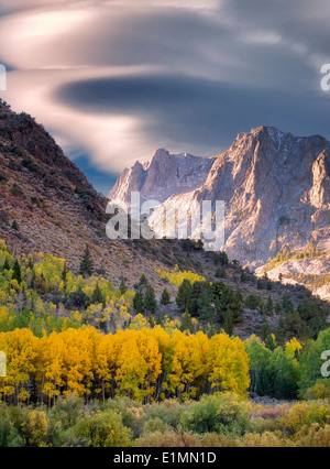 Espe Bäume in Herbstfarben und die Berge rund um Juni Seen Loop.Eastern Sierra Nevada Mountains, Kalifornien Stockfoto