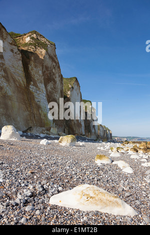 Klippen in Dieppe, Côte d ' d'Albatre, Haute-Normandie, Frankreich Stockfoto