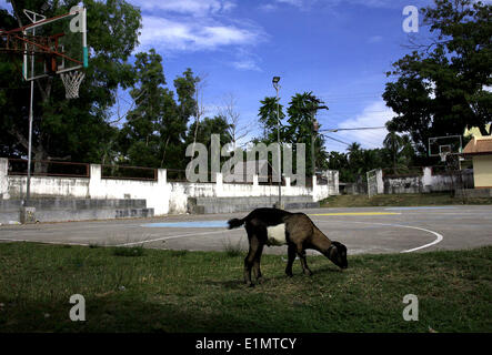 Dumaguete, Negros Oriental, Philippinen. 16. April 2008. Eine Ziege streift neben einen Basketballplatz in der Stadt Valencia auf der Insel Negros, Philippinen, 4 Juni, 2014.PHILLIP PRINS © Phillip Prins/Prensa Internacional/ZUMAPRESS.com/Alamy Live-Nachrichten Stockfoto