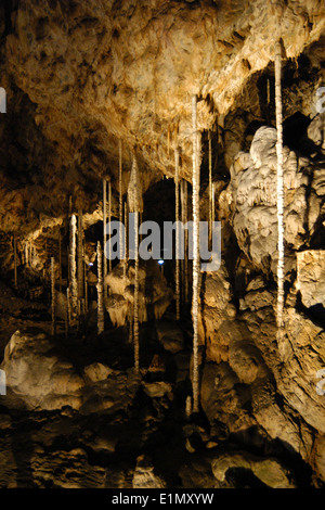 Die Bambus-Holz in der Katharina Höhle (Katerinska Höhle) im mährischen Karst (Moravsky Kras) Bereich in der Nähe von Brünn, Tschechische Republik. Stockfoto