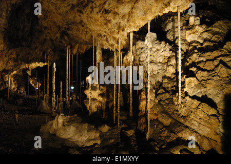 Die Bambus-Holz in der Katharina Höhle (Katerinska Höhle) im mährischen Karst (Moravsky Kras) Bereich in der Nähe von Brünn, Tschechische Republik. Stockfoto