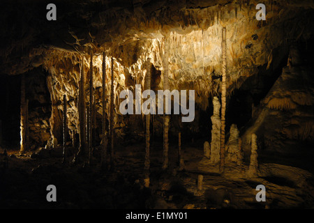 Die Bambus-Holz in der Katharina Höhle (Katerinska Höhle) im mährischen Karst (Moravsky Kras) Bereich in der Nähe von Brünn, Tschechische Republik. Stockfoto