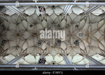 Gothic gerippt, Tresor, geschmückt mit Wappen in St. Barbara Kirche in Kutna Hora, Tschechien. Stockfoto