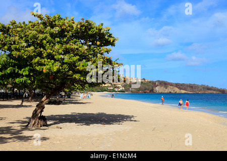 Ansicht Süd Grand Anse Strand in Richtung Quarantäne Point, St. George, Grenada, West Indies Stockfoto