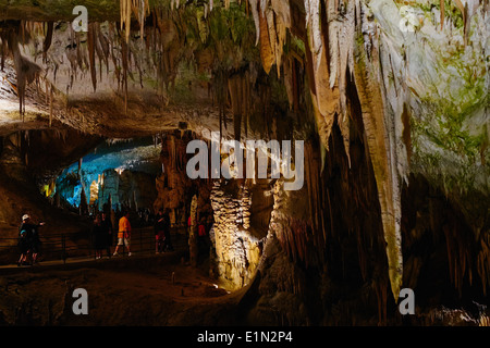 Slowenien, Notranjska Region, Höhle von Postojna Stockfoto