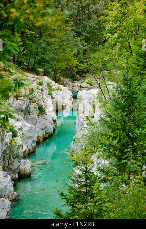 Slowenien, Goriska Region, Bovec, Nationalpark Triglav, Velika Korita, Soca Schlucht Stockfoto