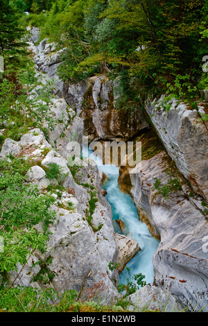 Slowenien, Goriska Region, Bovec, Nationalpark Triglav, Velika Korita, Soca Schlucht Stockfoto