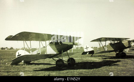 Die Pfalz D.. XII war ein deutsches Kampfflugzeug, das in den letzten Jahren des Ersten Weltkriegs eingesetzt wurde. Es wurde für Hundekämpfe entwickelt und wies im Vergleich zu früheren Modellen eine verbesserte Stabilität auf. Stockfoto