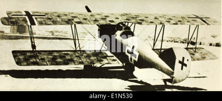 Die Pfalz D.. XII war ein deutsches Kampfflugzeug, das während des Ersten Weltkriegs eingesetzt wurde und für seine Robustheit und Manövrierfähigkeit bekannt war. Es wurde Ende 1917 eingeführt und fand im letzten Kriegsjahr statt. Stockfoto