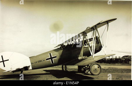 Die Pfalz D.. XII war ein deutscher Doppeldecker, der während des Ersten Weltkriegs eingesetzt wurde und für sein robustes Design und seine Fähigkeit bekannt war, viele alliierte Flugzeuge im Kampf zu übertreffen. Stockfoto