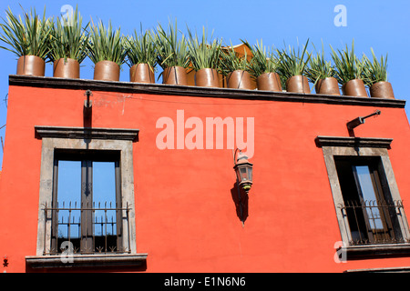 Haus mit roten Wänden und Töpfe mit Grass in auf der Dachterrasse, San Miguel de Allende, Guanajuato, Mexiko / Casa de San Miguel Stockfoto