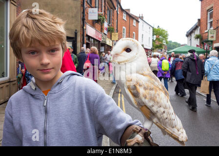 Southwell, Nottinghamshire, Großbritannien 7. Juni 2014. Eine Schleiereule thront auf dem Arm eines kleinen Jungen auf dem Southwell Folk Festival. Das jährliche Festival der Musik und Tanz läuft seit 2007. Bildnachweis: Mark Richardson/Alamy Live-Nachrichten Stockfoto