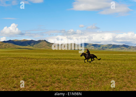 Mongolei, Tov Provinz, training für Naadam Pferderennen Stockfoto