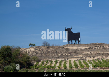 Statue der schwarzen Stier auf Bergrücken oberhalb der Weinberge im Bereich Briones in der Region La Rioja, Spanien. Stockfoto