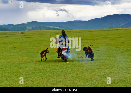 Mongolei, Ovorkhangai Provinz, Okhon Tal, Nomad mit Motorrad Stockfoto