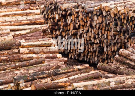 Holzbohlen in Säge Mühle Holz Holzplatz Stockfoto