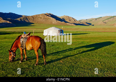 Mongolei, Provinz Zavkhan, Nomaden camp Stockfoto