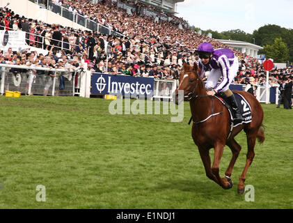 Epsom Downs, Surrey, UK. 7. Juni 2014. Australien gewinnt das Derby, Epsom Downs Credit: Motofoto/Alamy Live News Stockfoto