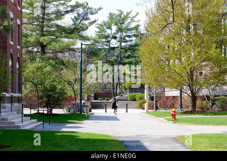 Am Campus der Harvard Universität an einem sonnigen Frühlingstag in Cambridge, MA, USA, im April 2011. Stockfoto