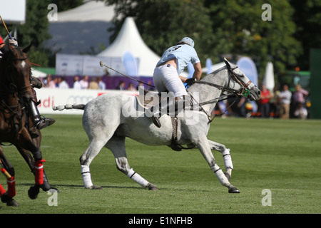 (Panchito) Fernando Torres von Team Buenos Aires bei Chestertons Polo im Park 2014 Stockfoto