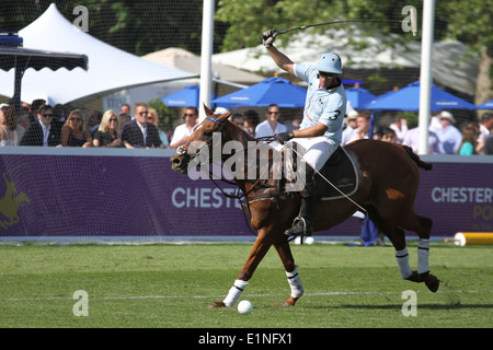 (Panchito) Fernando Torres von Team Buenos Aires bei Chestertons Polo im Park 2014 Stockfoto