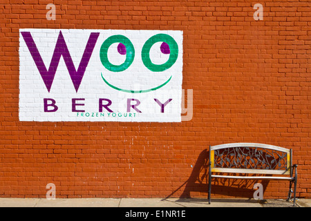 Woo Berry Frozen Yogurt auf Highland Street in Worcester, MA Stockfoto