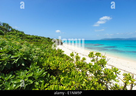 Atemberaubenden tropischen Strand umgeben von kristallklaren tropischen Wasser voller Korallenriffe in Okinawa, tropischen Japan Stockfoto
