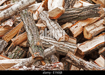Trockenes Scheitholz protokolliert in Haufen. Natur-Hintergrund. Stockfoto