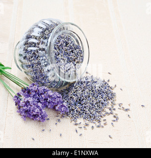 Lavendel Blumen frisch und trocken in einem offenen Glas auf Leinwand neben einem Blumenstrauß von frischem Lavendel Stockfoto