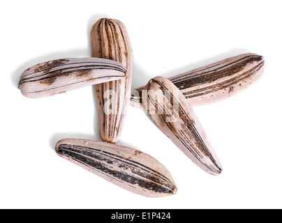 Sonnenblumenkerne Makro auf einem weißen Hintergrund isoliert Stockfoto