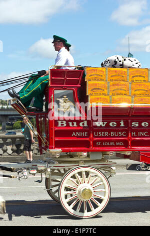 Portland, Oregon, USA, 7. Juni 2014. Portland, Oregon, USA, 7. Juni 2014. Rose Festival jährliche Parade durch die Innenstadt von 7. Juni 2014 © Editorials/Alamy Live News Bildnachweis: Editorials/Alamy Live News Stockfoto