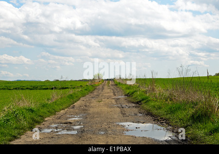 Foto einer Straße führt durch Getreide. Stockfoto