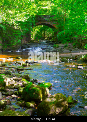 Ein wesentlich erbaut Bogenbrücke aus Stein trägt eine kleine Spur über Mai Beck in der Nähe von fallen Foss Wasserfall North Yorkshire Stockfoto