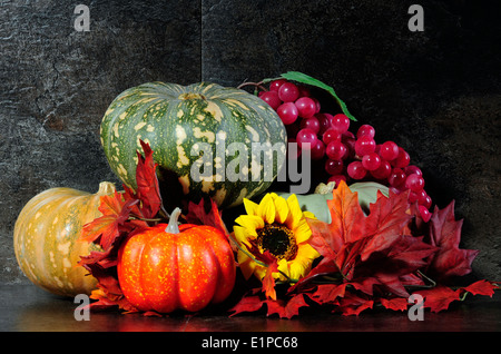 Autumn Harvest Stilleben mit bunten Kürbissen und Herbst Blätter und Früchte. Stockfoto
