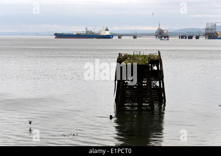 Seeschwalben Schlafplatz auf einem alten Pier in der Nähe von Inverkeithing, Fife, Schottland. Die Hound Punkt Öl-terminal ist im Hintergrund. Stockfoto