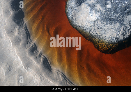 Tannin-gefärbten Süßwasser Bach fließt über weißen Sand, Abrahams Schoß Reserve, Jervis Bay National Park, NSW, Australien Stockfoto