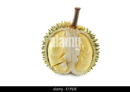 geschälte Durian isoliert auf weißem Hintergrund. Stockfoto