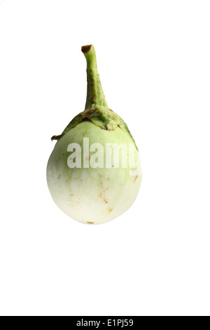 Grüne Aubergine isoliert auf weißem Hintergrund. Stockfoto