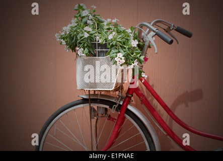 Roten Fahrrad und rosa Blüten in den Korb vorn. Stockfoto