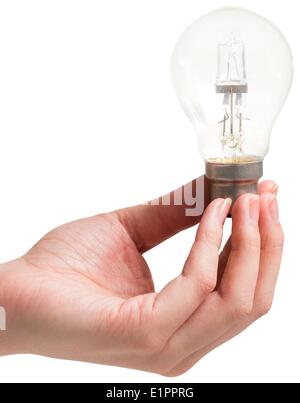 Hand halten Glühbirne Stockfoto