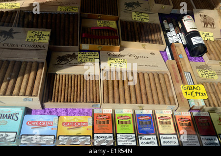 Havanna-Kuba-Zigarren auf den Verkauf in einem Tabak-Schaufenster in Amsterdam Holland Stockfoto