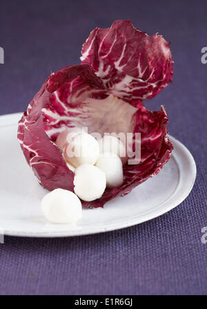 Mini-Mozzarellakugeln in einem roten Chicorée-Blatt Stockfoto