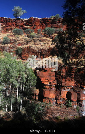 Dales Gorge, Karijini-Nationalpark, Hamersley Ranges, Western Australia, Australia Stockfoto