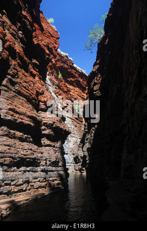 Schmale rote Felswände des Joffre Gorge, Karijini-Nationalpark, Hamersley Range, Pilbara, Western Australia Stockfoto