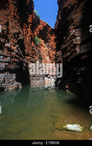 Schmale rote Felswände des Joffre Gorge, Karijini-Nationalpark, Hamersley Range, Pilbara, Western Australia Stockfoto