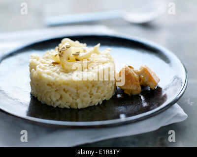 Reis mit Hähnchen und Fenchel Stockfoto