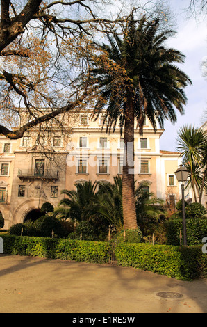 Palme, San Carlos Gardens, A Coruna, Galicien, Spanien Stockfoto