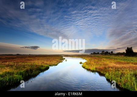 Naturschutzgebiet der Onlanden in der frühen Morgensonne Stockfoto