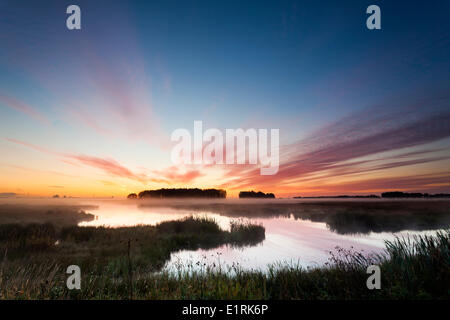 Naturschutzgebiet der Onlanden in der frühen Morgensonne. Stockfoto